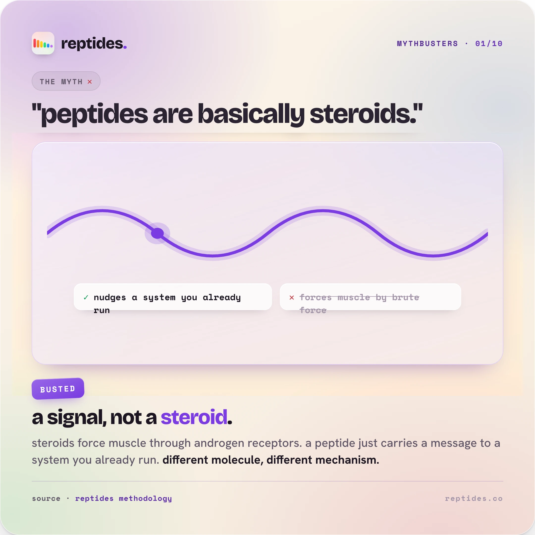 Mythbuster card busting "peptides are basically steroids": a signal wave, with a peptide nudging a system the body already runs versus a steroid forcing muscle by brute force. A signal, not a steroid.