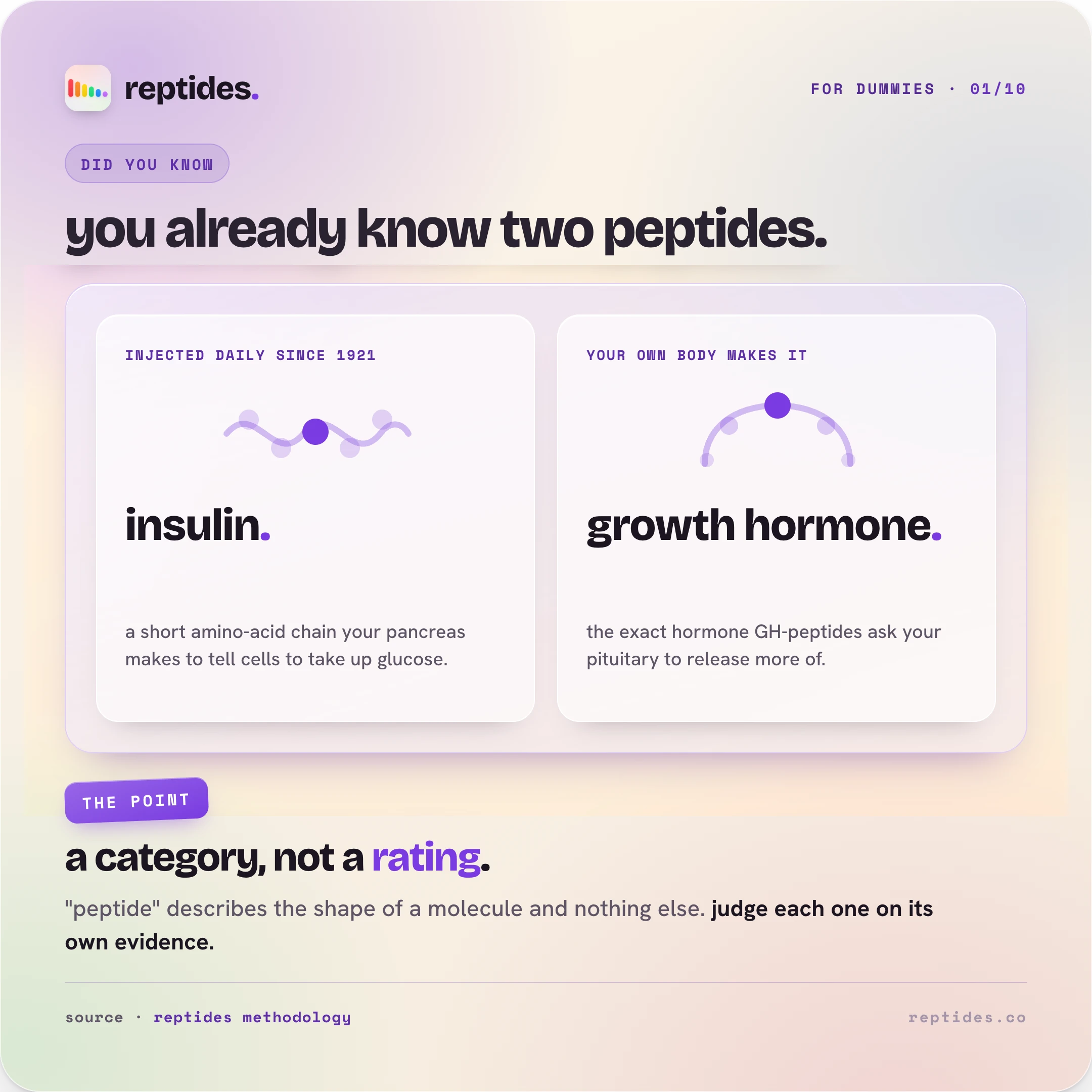 Insulin and human growth hormone shown as the two peptides everyone already knows: both are amino-acid chains carrying a signal, one a century-old medicine, the other the hormone the GH-releasing peptides ask the body to make.